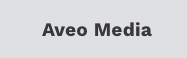 aveo media boise